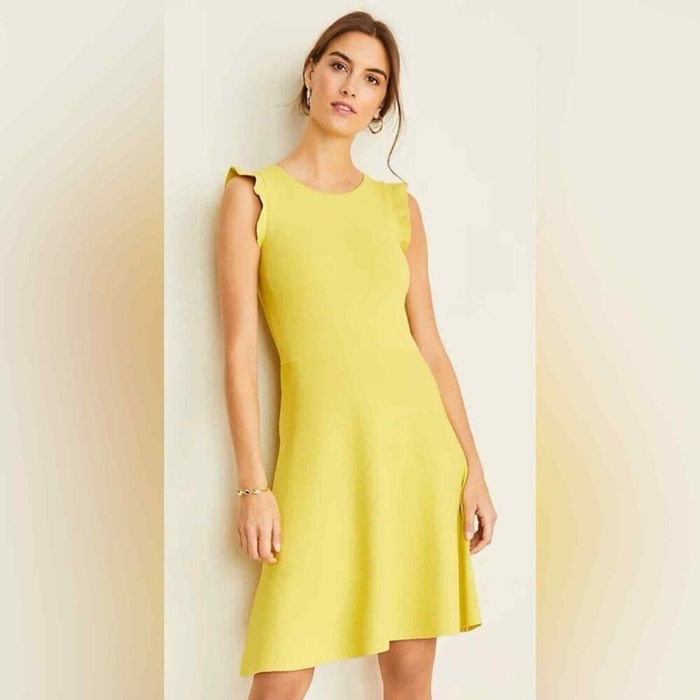 Ann Taylor NWT Ruffle Sleeve Midi Dress Size LT